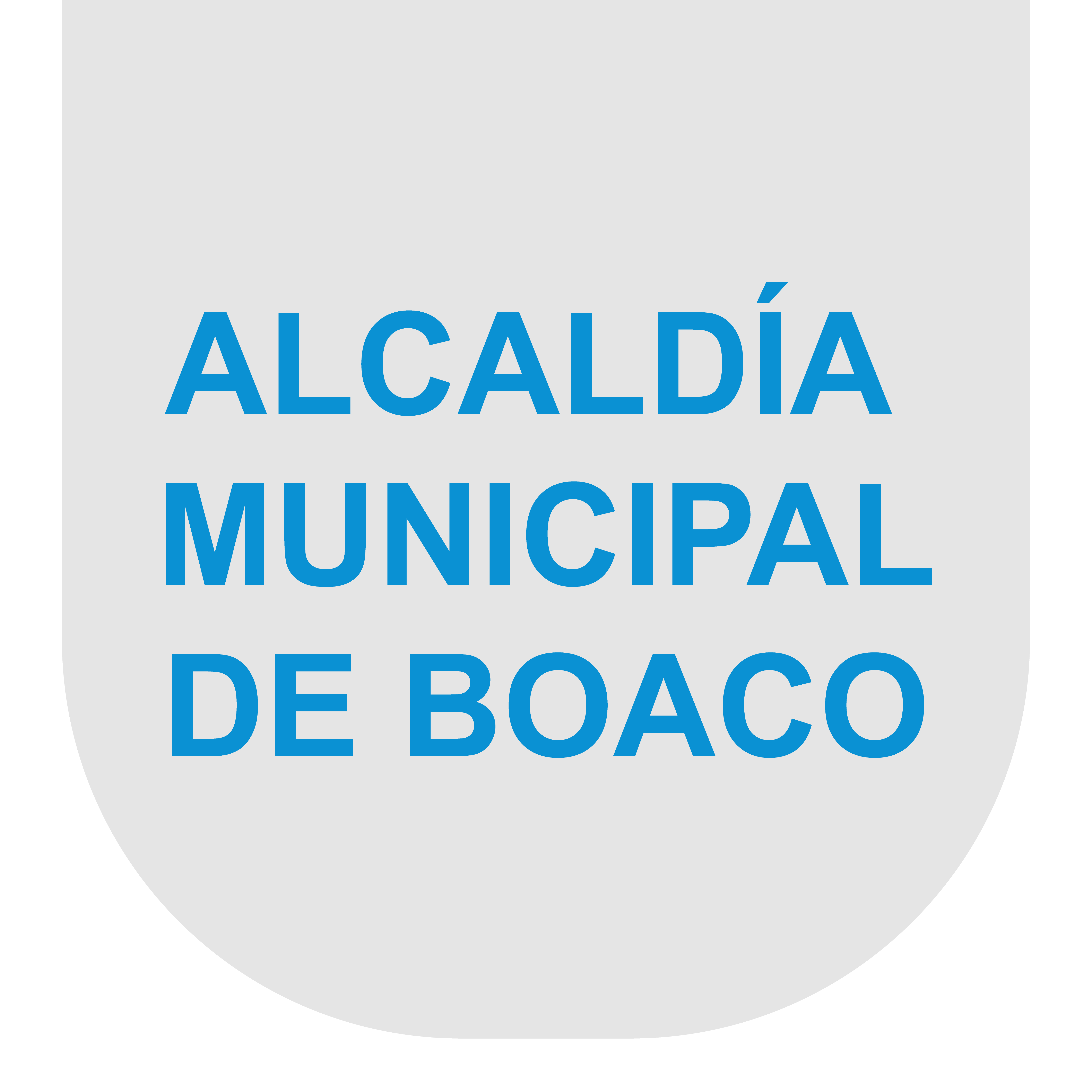 2,ALCANDIA BOACO_Mesa de trabajo 1