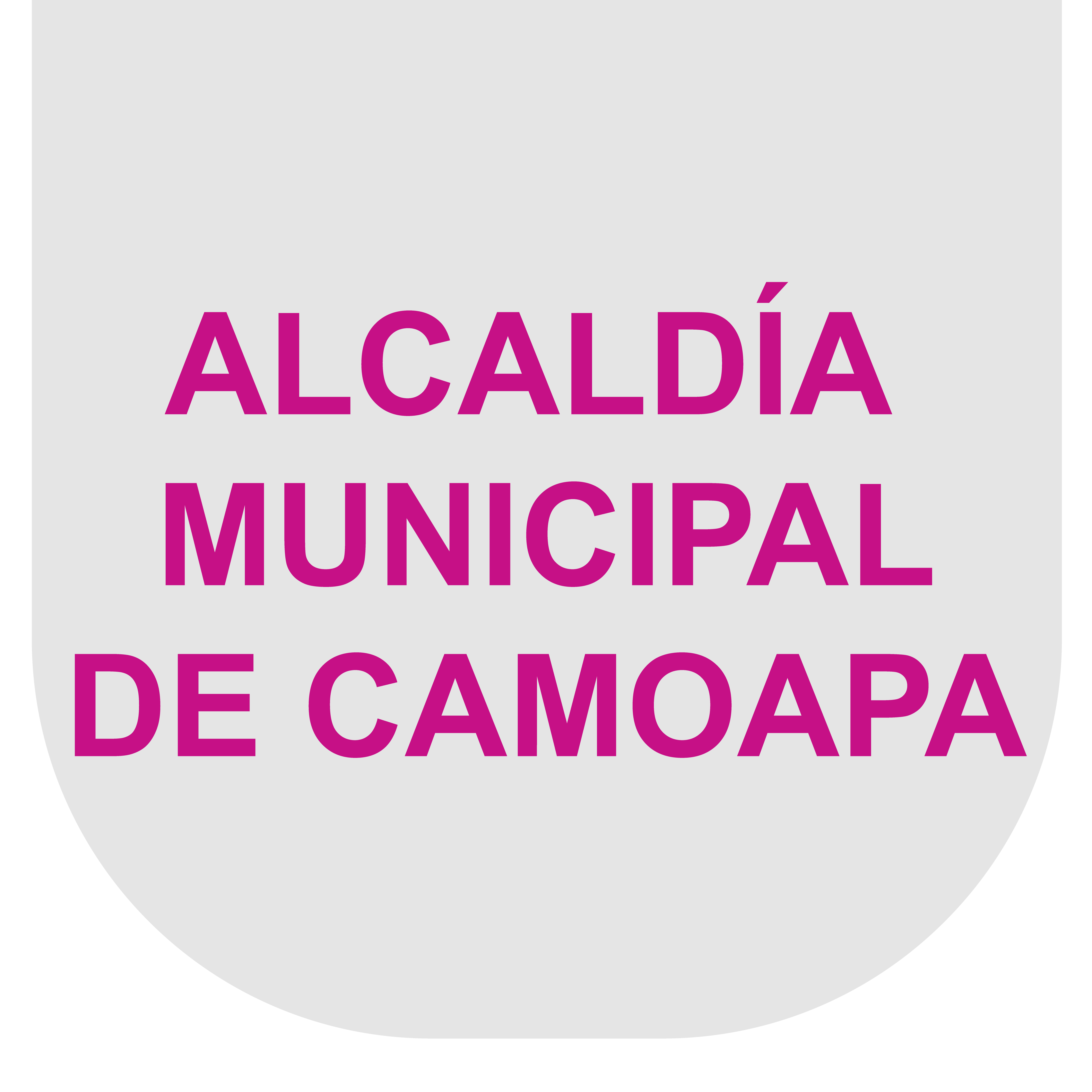 ALCADIA CAMOAPA_Mesa de trabajo 1
