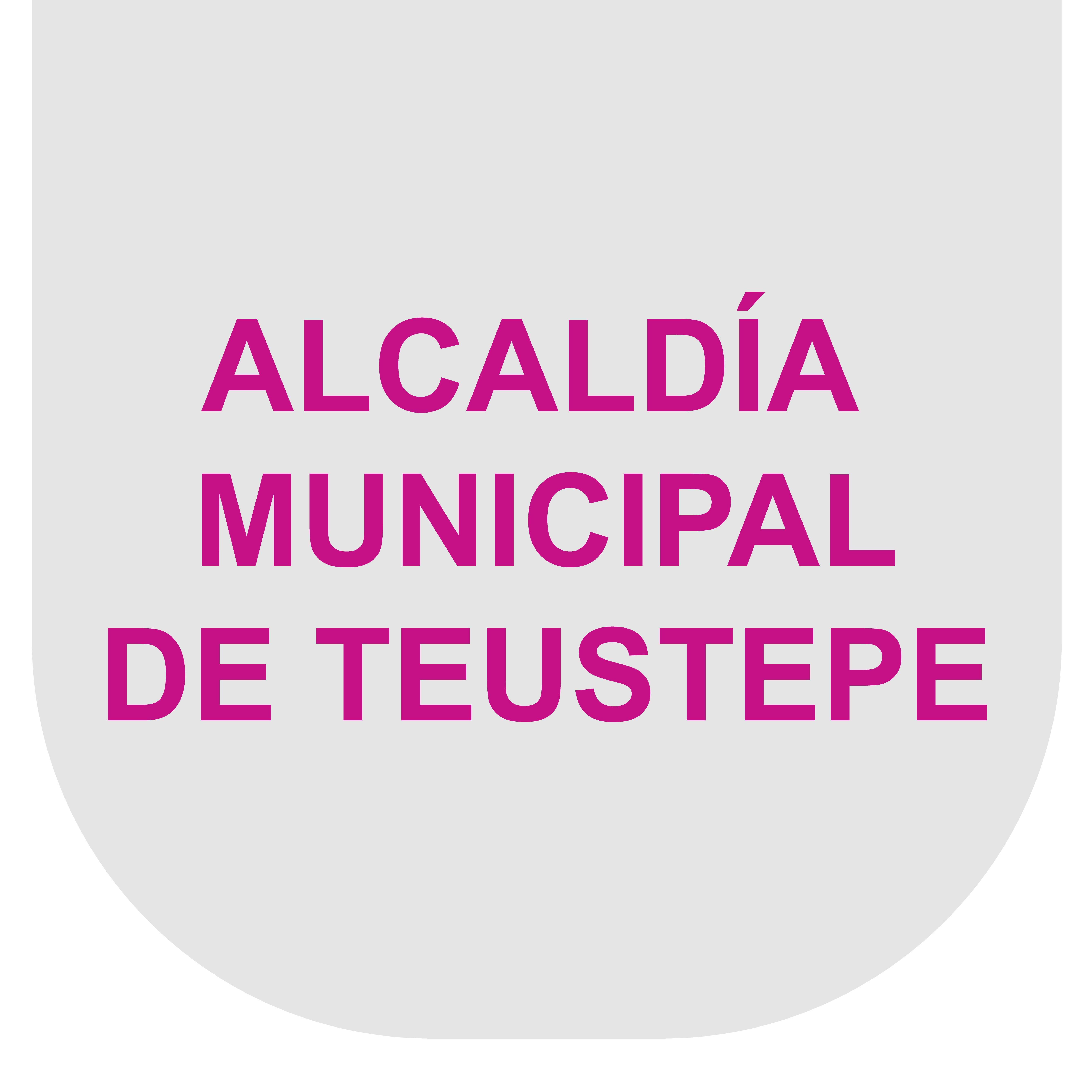 ALCANDIA TEUSTEPE_Mesa de trabajo 1