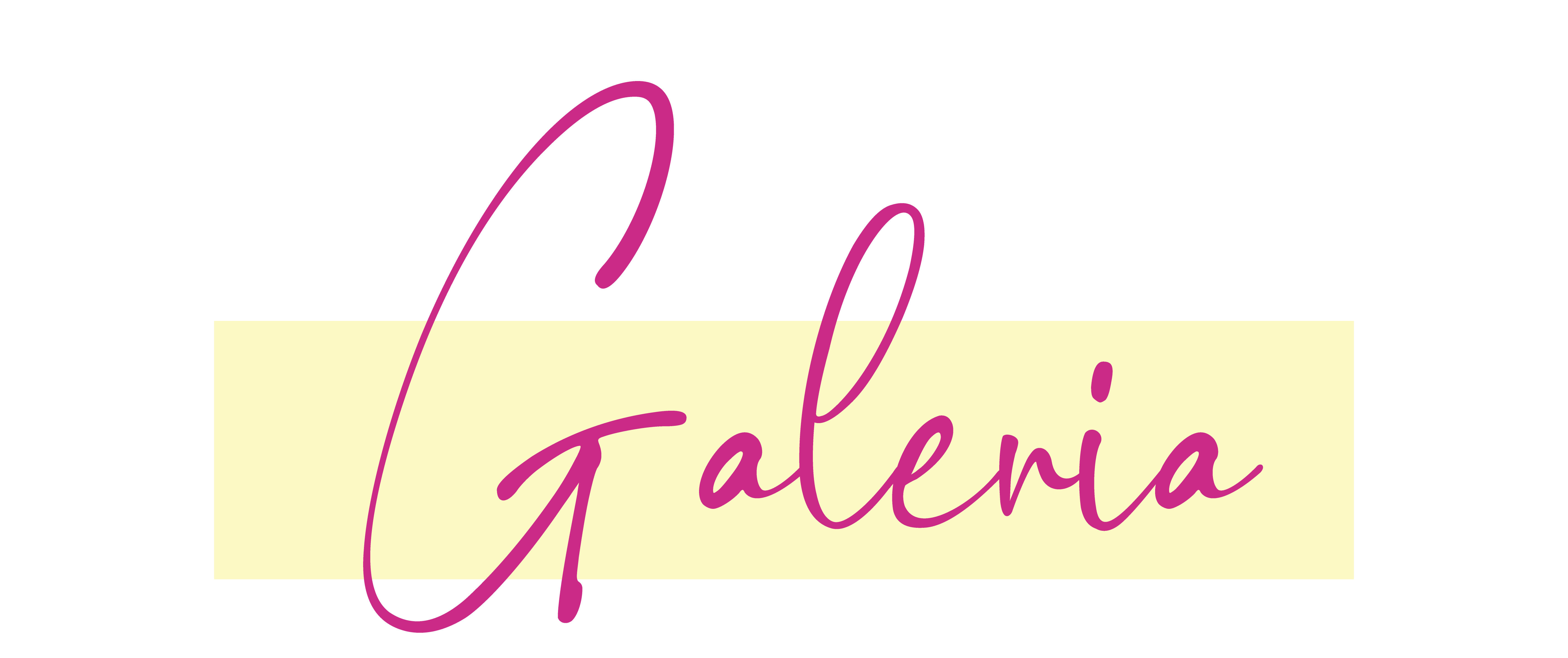 DISEÑO galeriaS